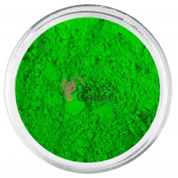 Pigment pentru make-up Amelie Pro U310 Mat Neon - Briliant Green